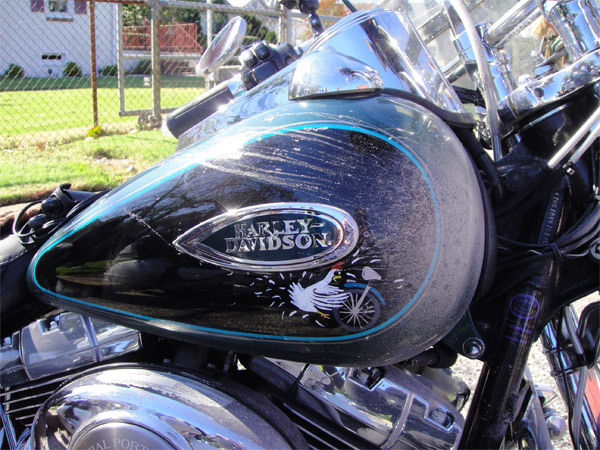 CT Motorcycle Polar Bears had an October blizzard