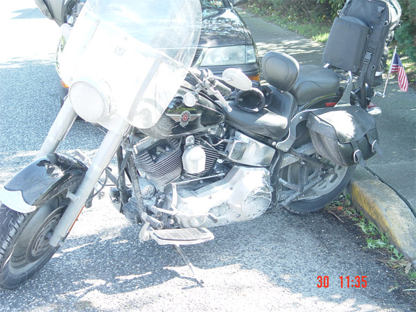 Motorcycle Polar Bear salt