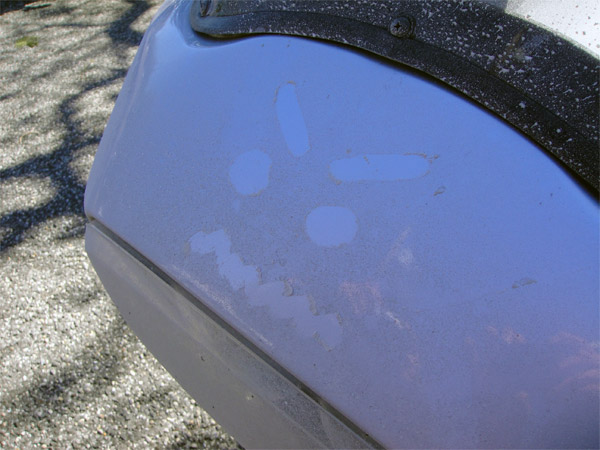 Motorcycle Polar Bear salt